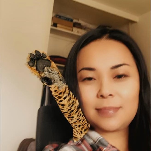kdlai